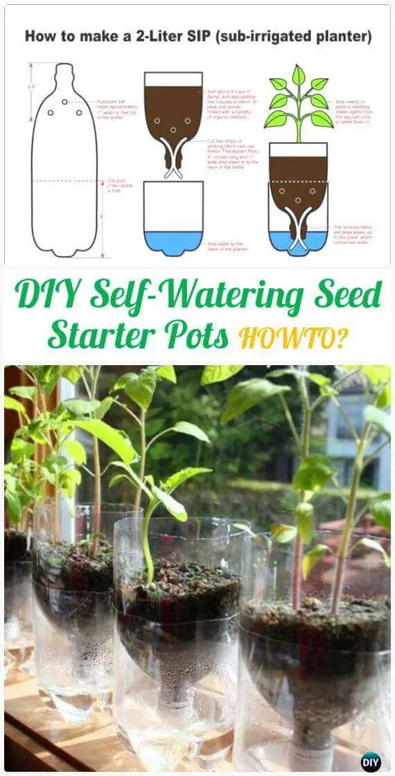 DIY Self-Watering Seed Starter Pot Planter