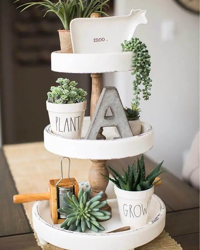 Succulents tray