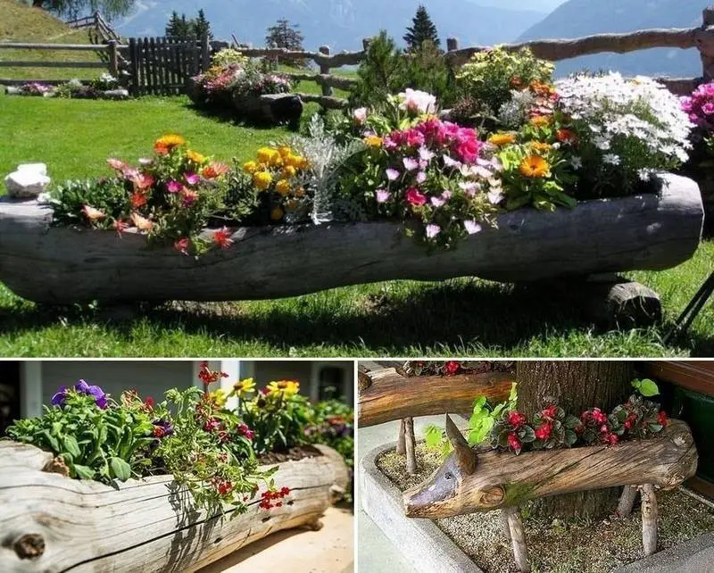 Log planter