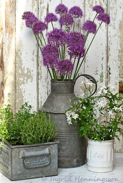 Vintage zinc and enamelled containers