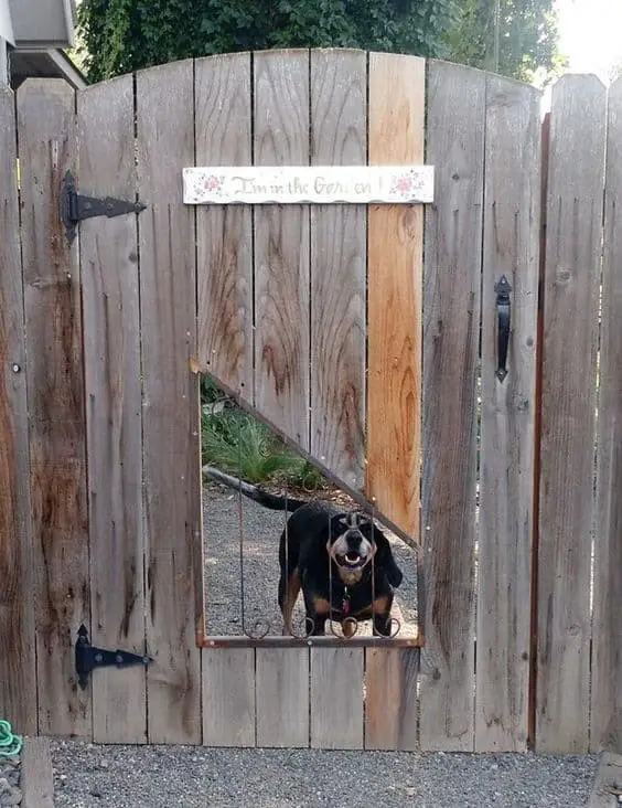 Wood fence ideas for dogs