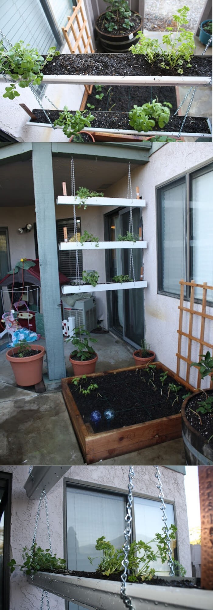 Herbs in Gutter Garden