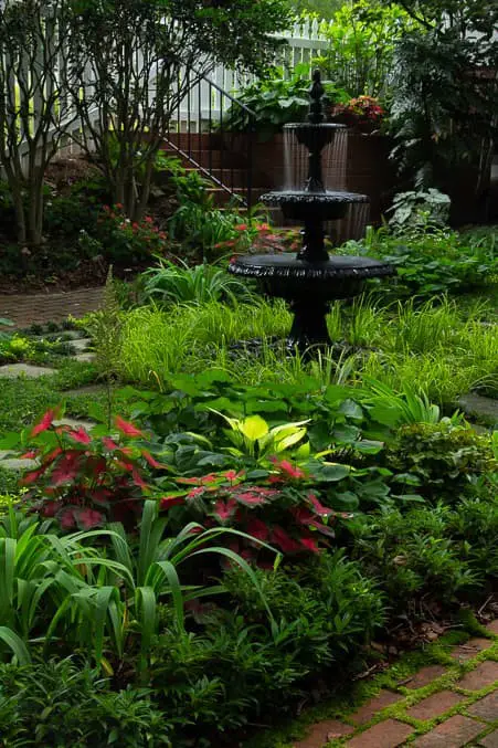 Shade Garden with Water Feature