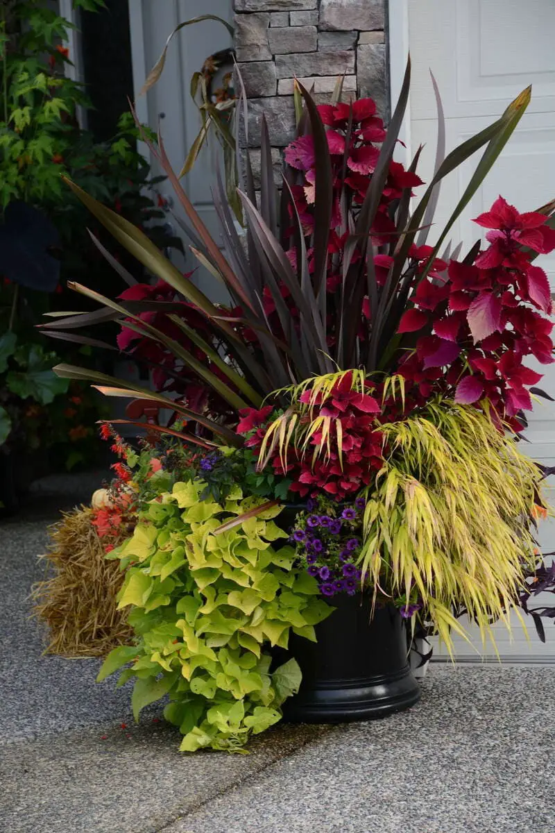 Colorful Planters