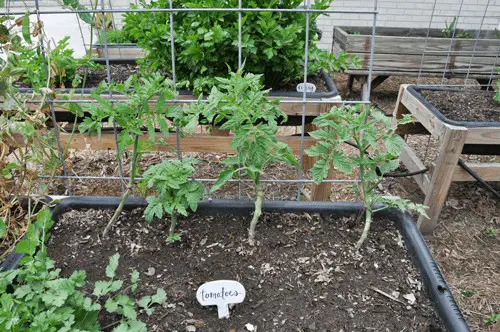 #5. Square Raised Bed