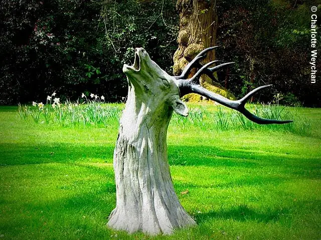 Tree Stump Garden Decor and Sculpture