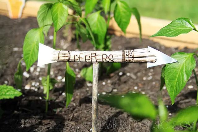 Arrow Garden Markers