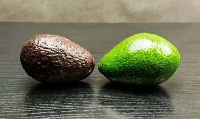 18 Types Of Avocados: Health Benefits, Nutrition, And More