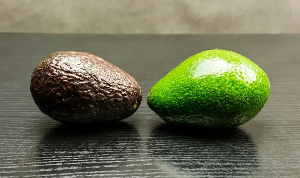 Choquette Avocados