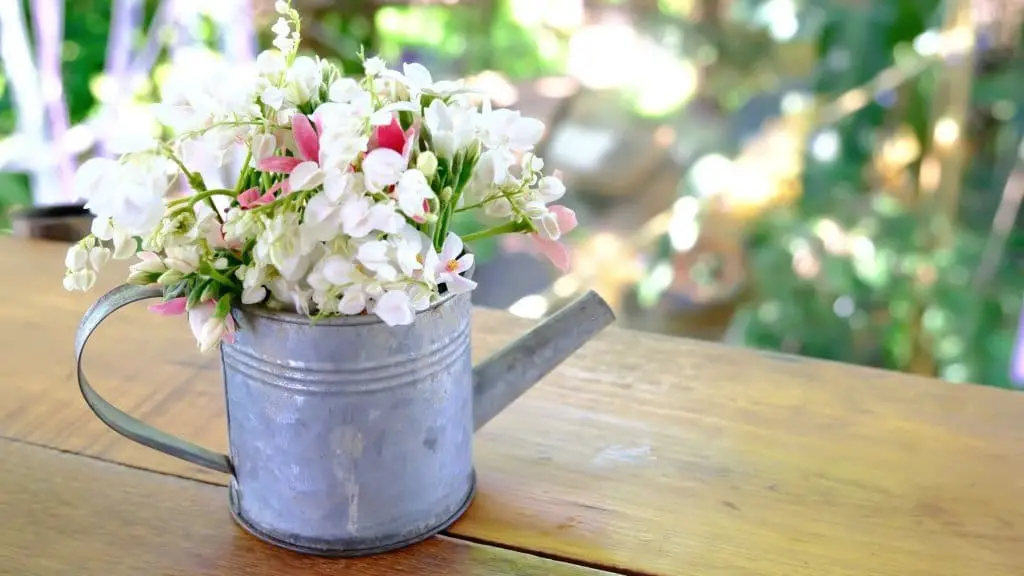 Use an Old Watering Pot