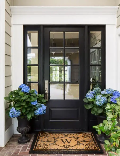 Black Front Doors