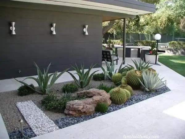 Texas drought tolerant landscaping ideas