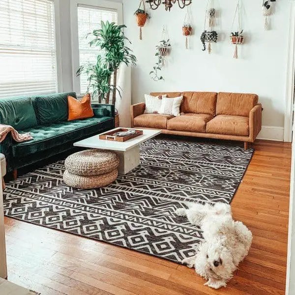 What Color Rug Goes With Teal Couch? (21 Options)