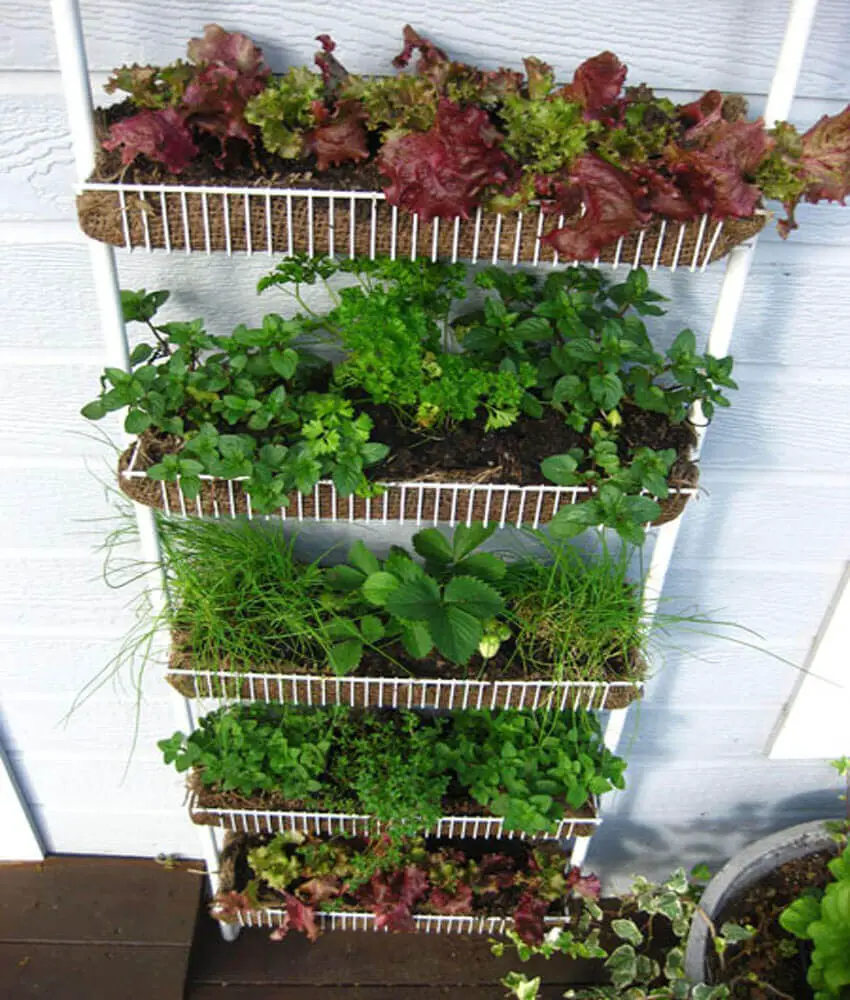 Denim Pockets for Wall-Mounted Planters