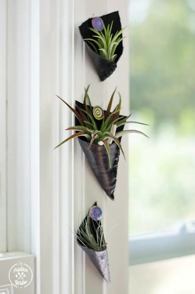 DIY Leather Pocket Air Plant Holders