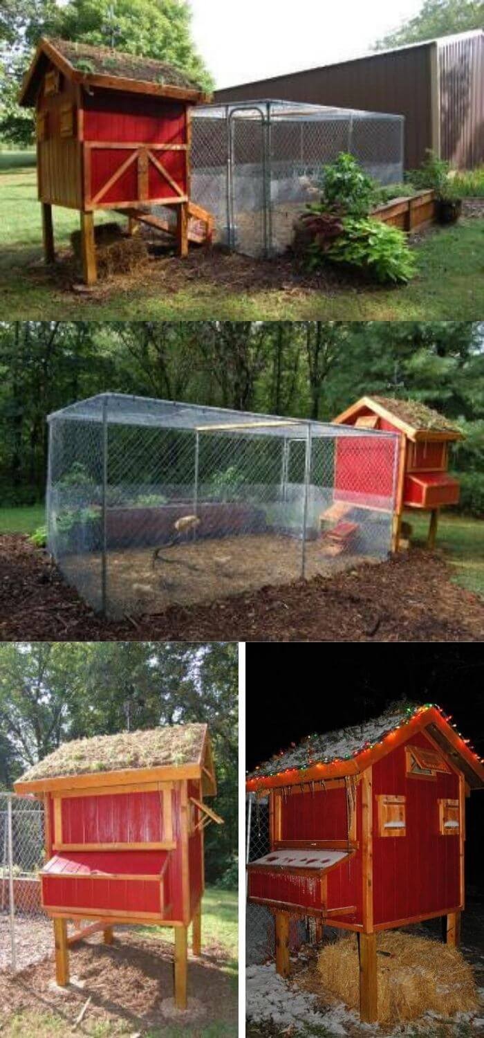 Redwood chicken coop