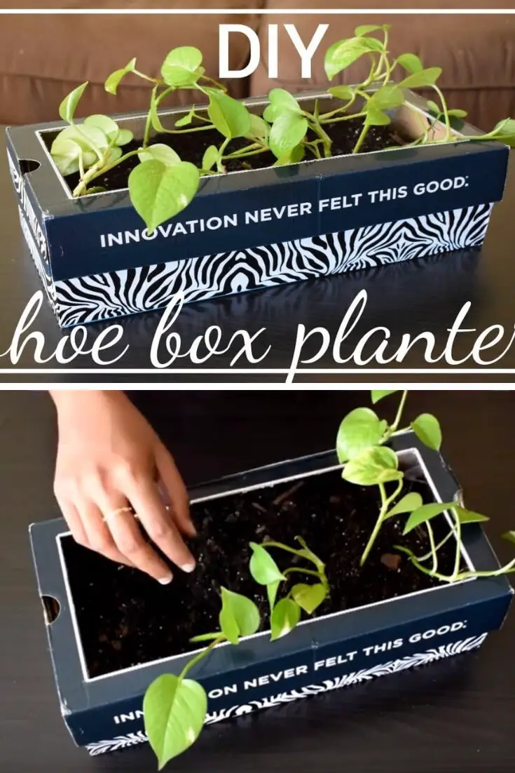 Cardboard Decor Planter