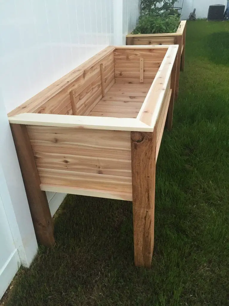 Cedar waist high raised garden bed