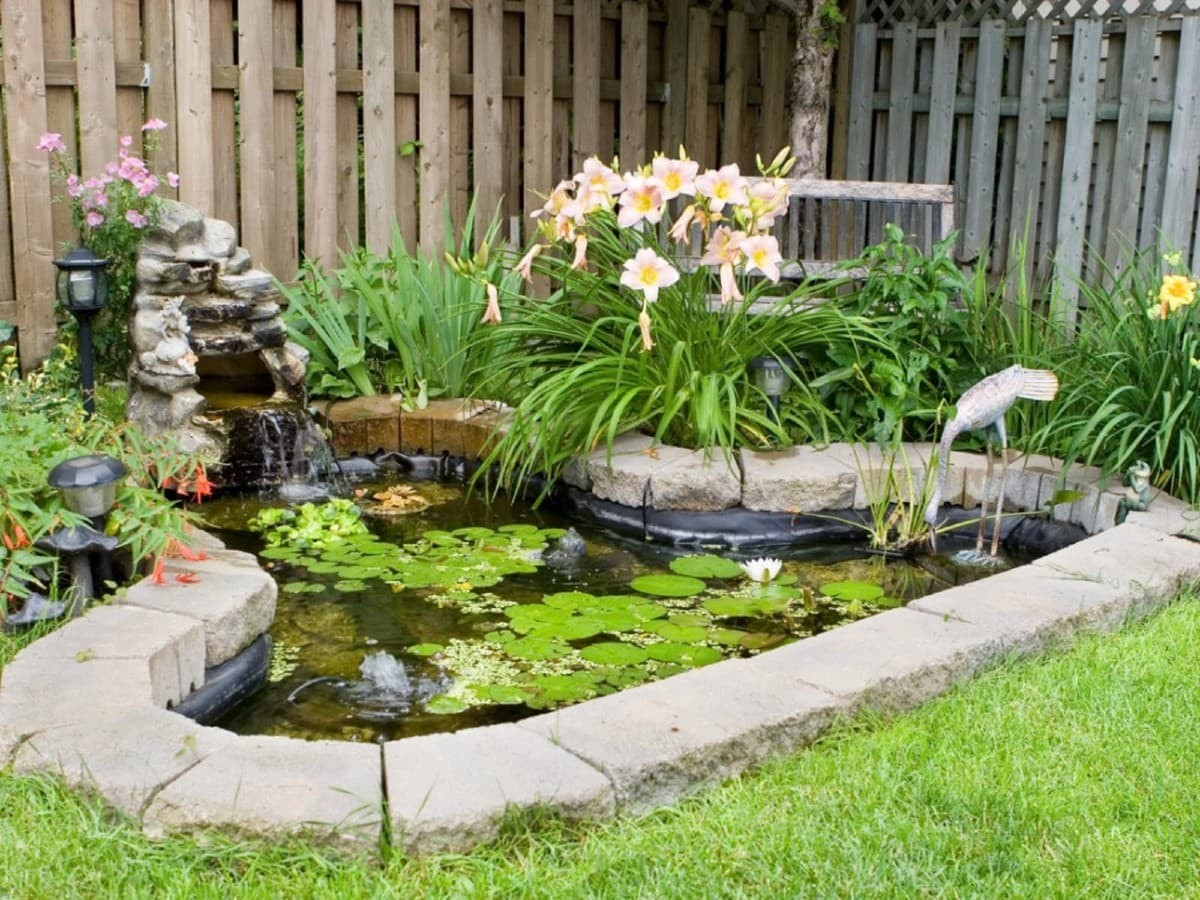 A Pond with Fish as a Feature