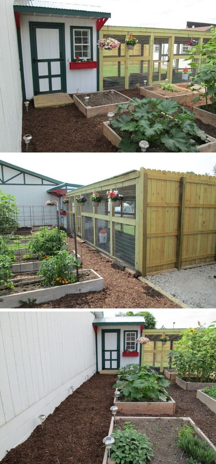 Neat and tidy chicken coop