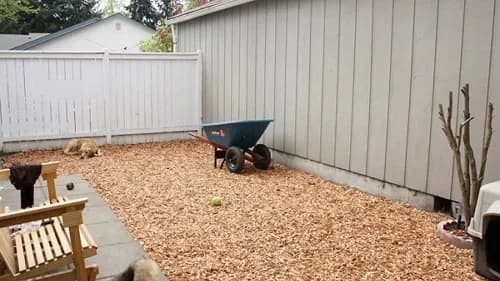 Dog run fence ideas