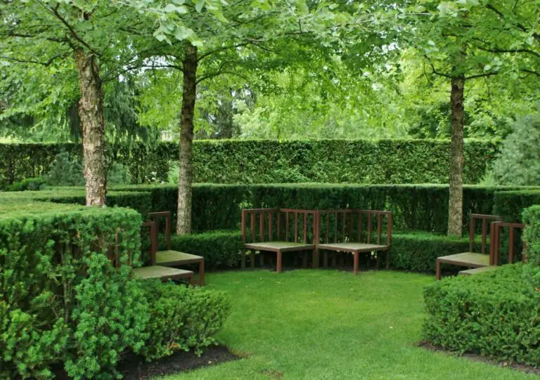 How To Create Privacy In Your Backyard Without A Fence (30 Creative Ideas)