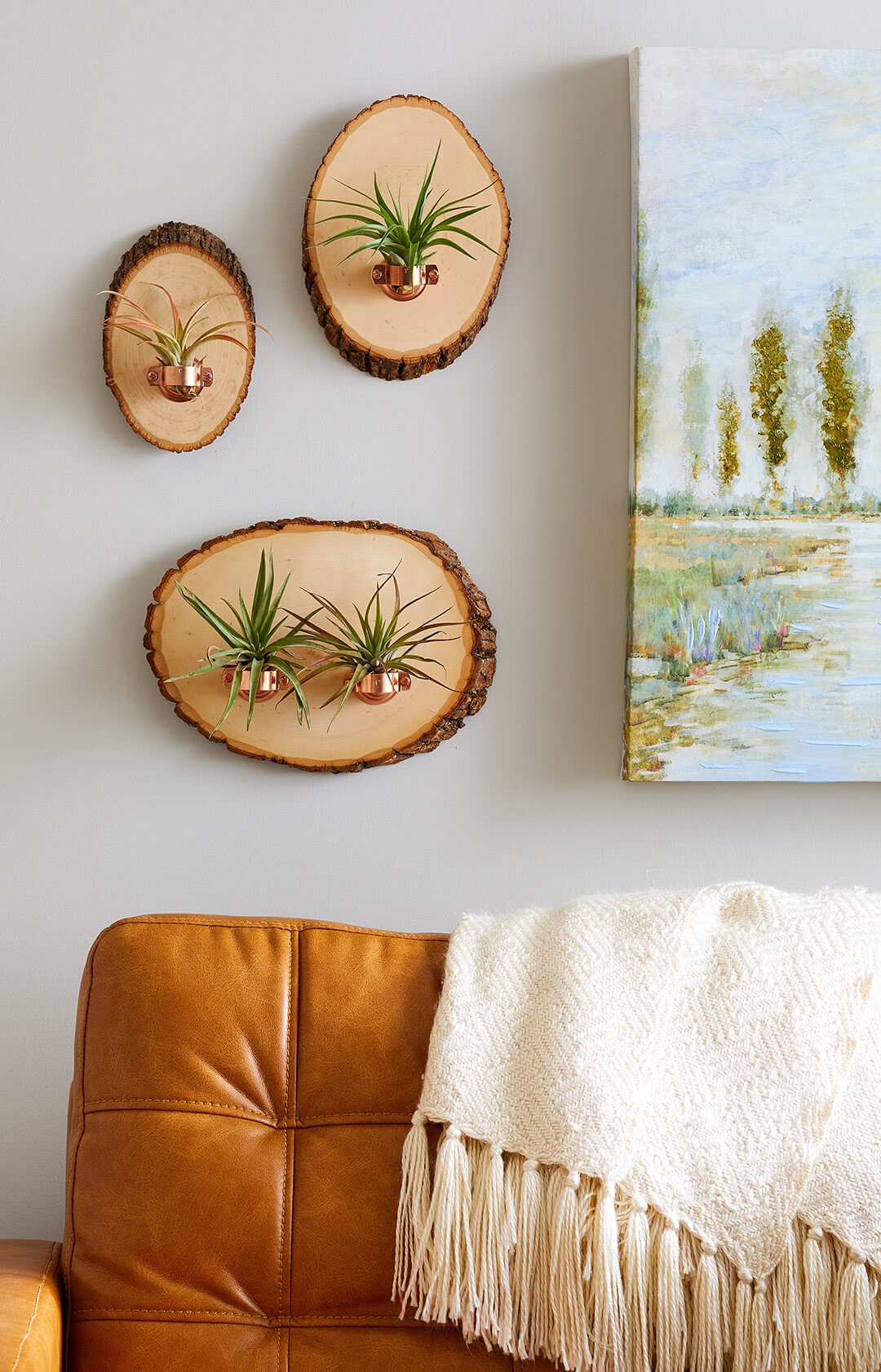 DIY Wood Air Plant Hanger