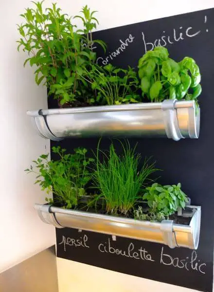 Herb Gutter Indoor Garden