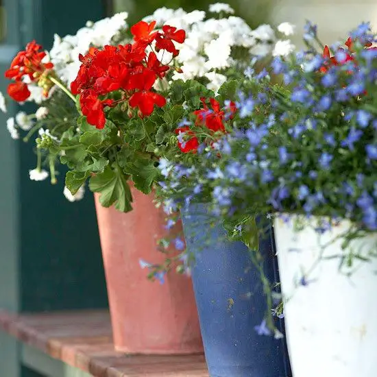 #3. Patriotic Planter