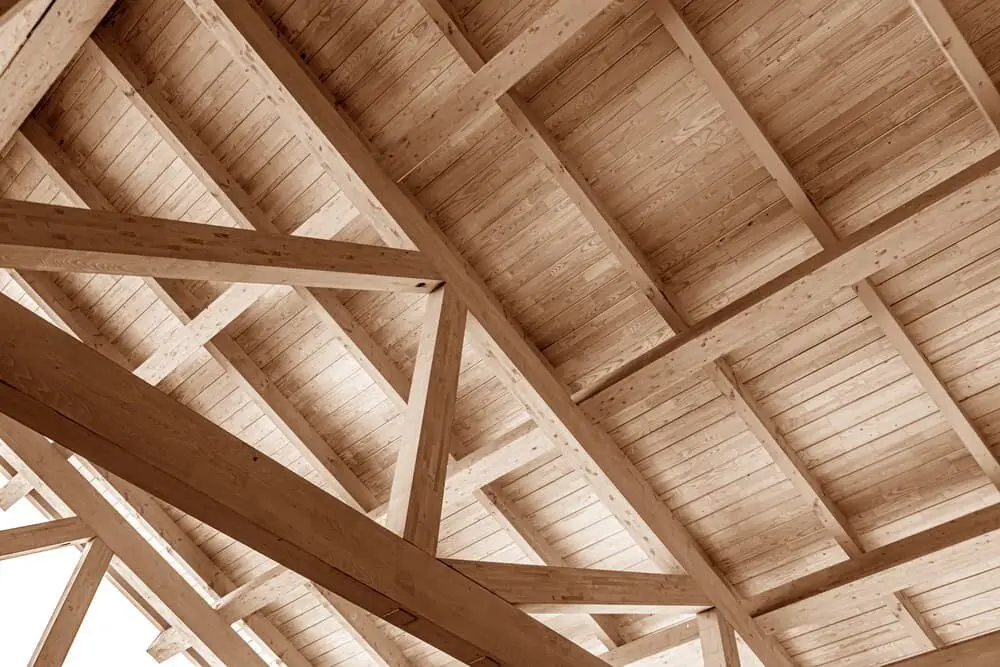 Shed Ceiling