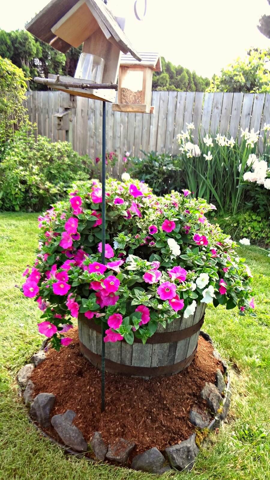 Container Gardening