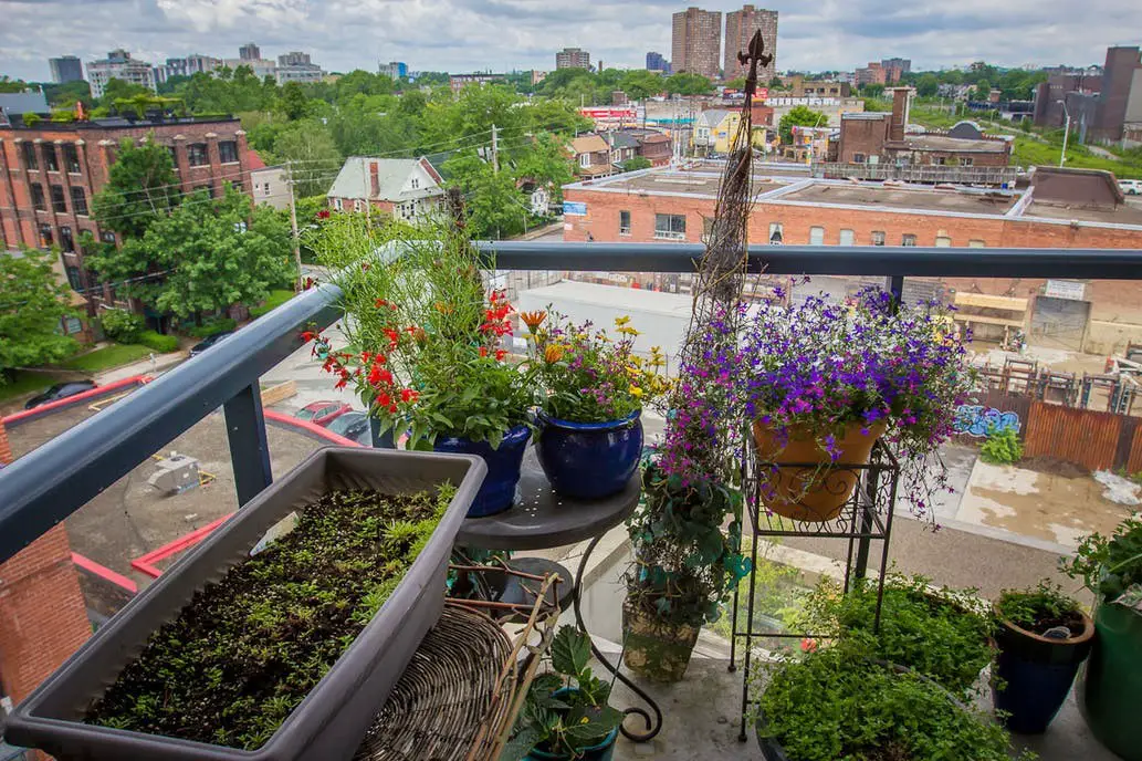 Terraced Herb Garden