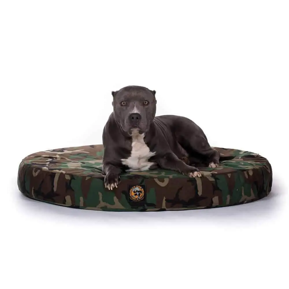 Support Your Dog’s Back With A Tough Orthopedic Bed