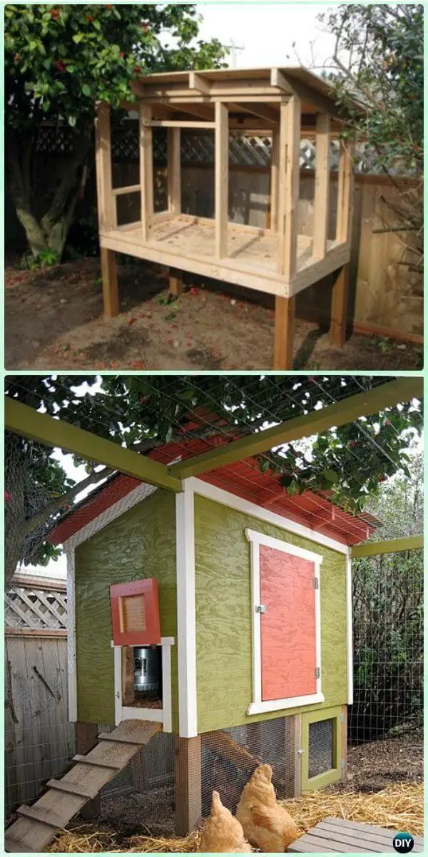 DIY Urban Chicken Coop Free plan