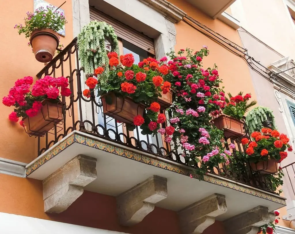 Balcony of Roses