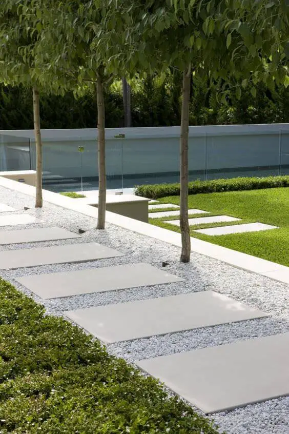 Pavers in Pebbles Pleached Row Of Trees