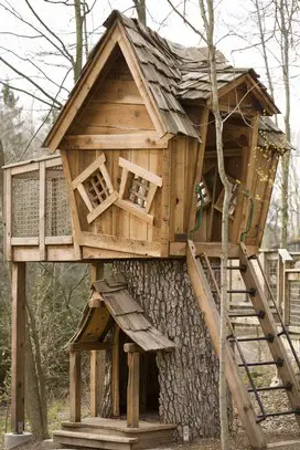 Tree Stump House