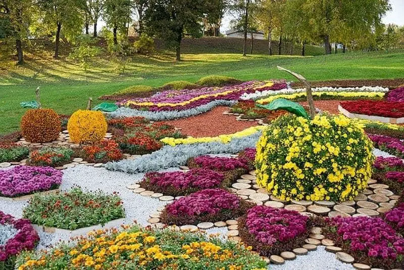 Patterned Flower Bed