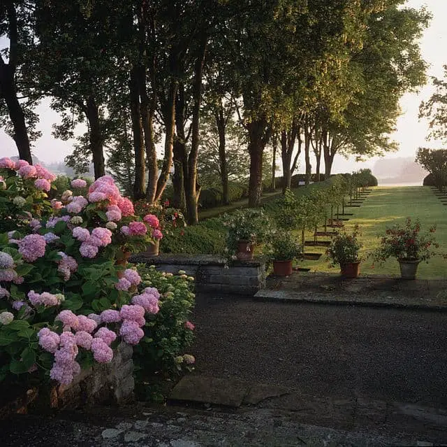 Blooms and grasses can be used to create shadows.