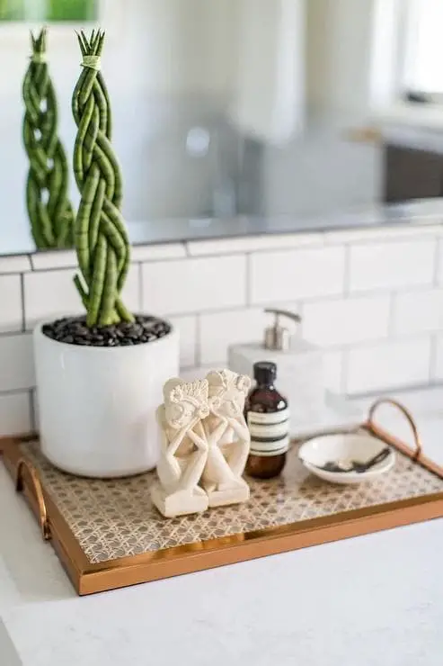 35+ Best Bathroom Tray Decor Ideas And Designs (Photos)