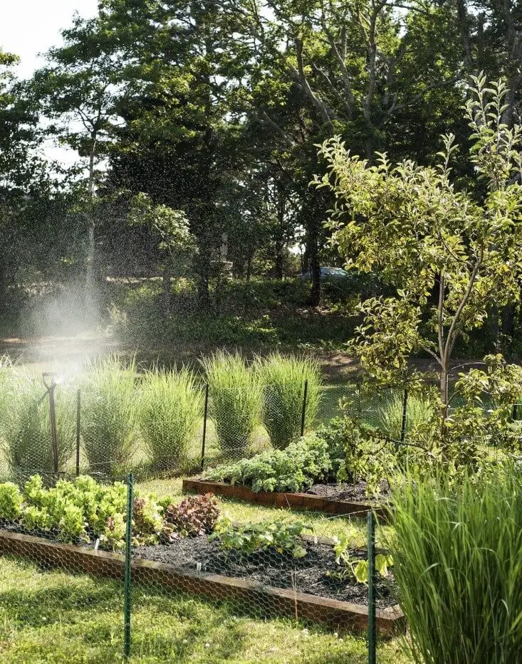 The Cape Cod garden