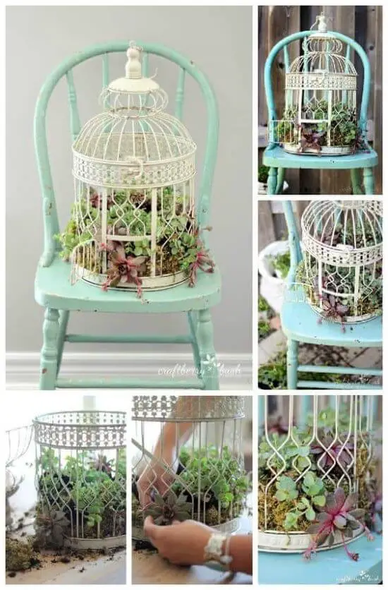 Birdcage Succulents Garden Planter