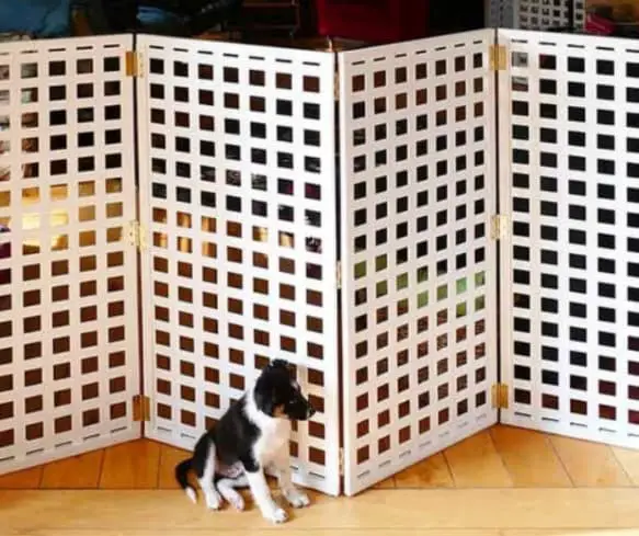 Indoor dog fence ideas