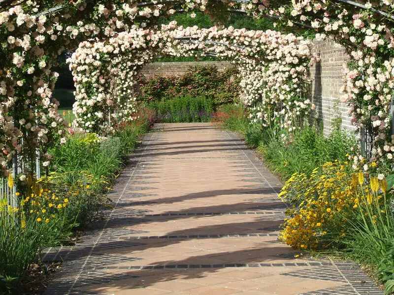 The Rose Walk