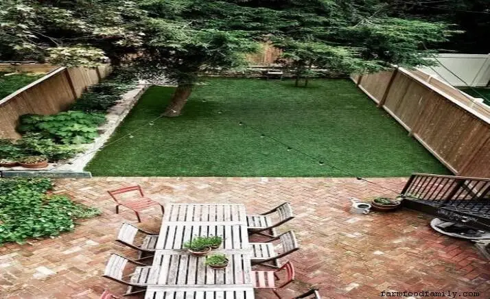 Open backyard