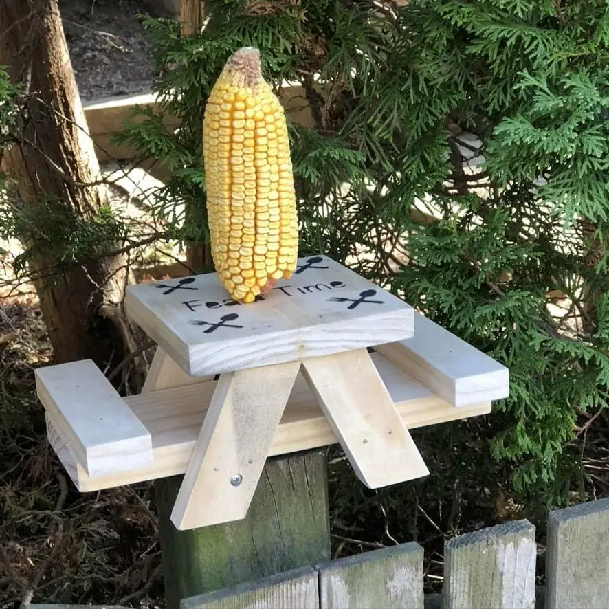 Squirrel picnic table