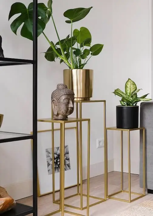 Gold-accented plant pots