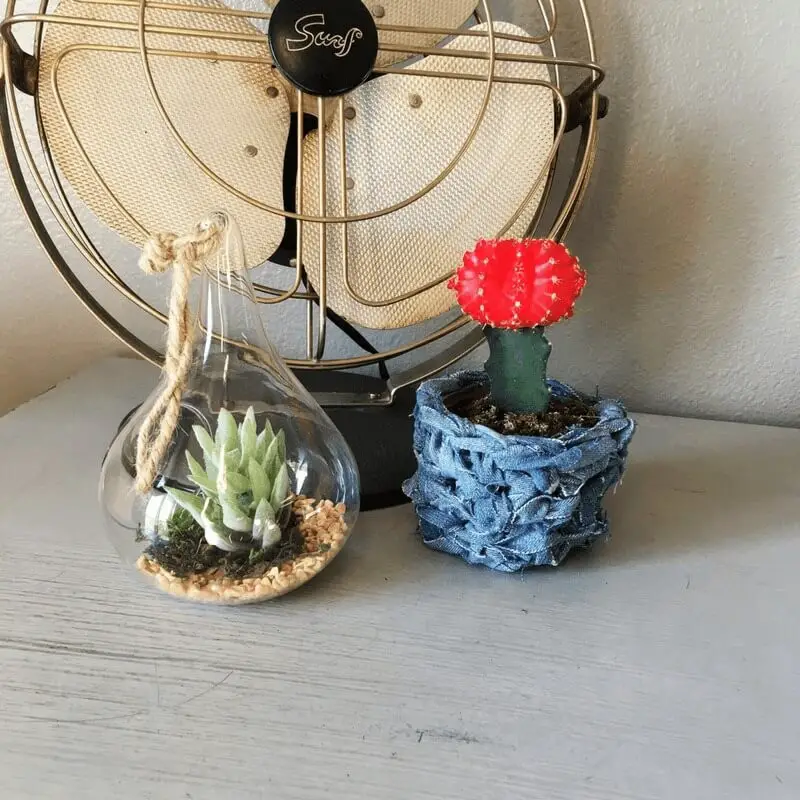 An old jean pot cosy