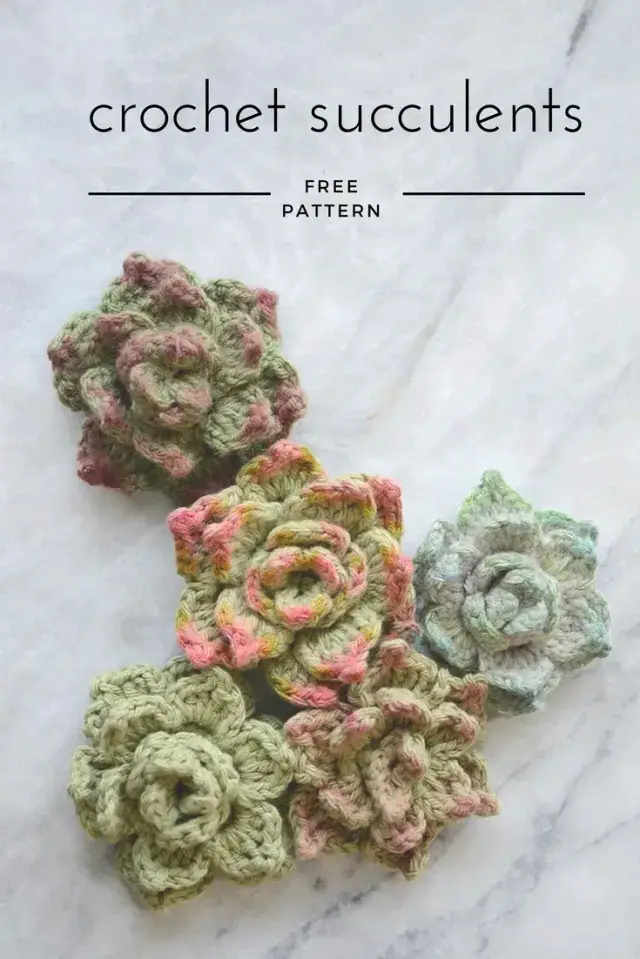 Crochet Succulents