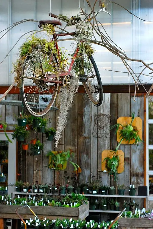 35+ Charming Bicycle Planter Ideas For Your Backyard